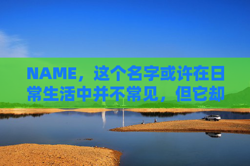 NAME，这个名字或许在日常生活中并不常见，但它却在某些领域里扮演着重要的角色。今天，让我们一起来探索这个名字背后的故事和意义